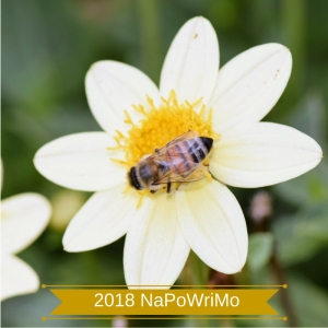Copy of 2017 NaPoWriMo